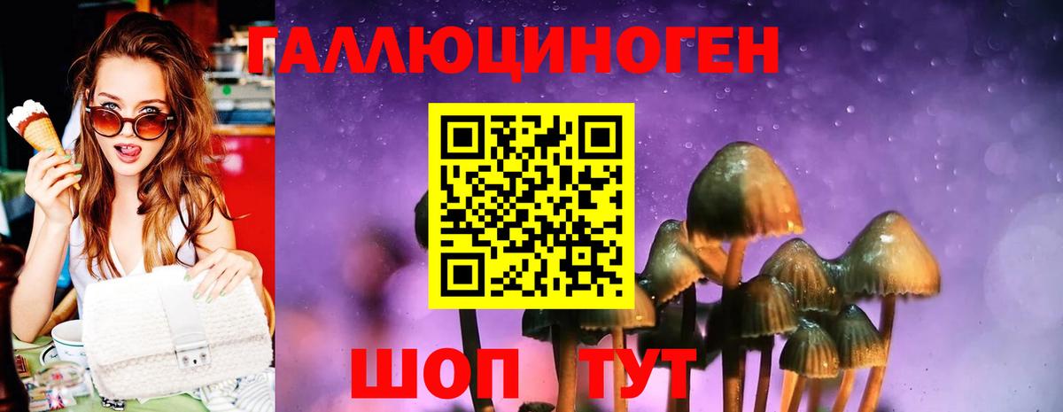 Псилоцибиновые грибы ЛСД  Вход с VPN  Карпинск 